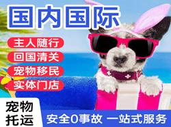 陇南成县机场快运国际宠物托运 【国